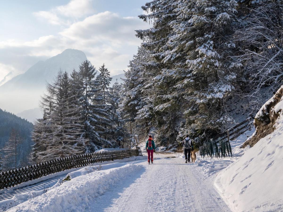埃布斯镇Alpengasthof Veitenhof别墅 外观 照片