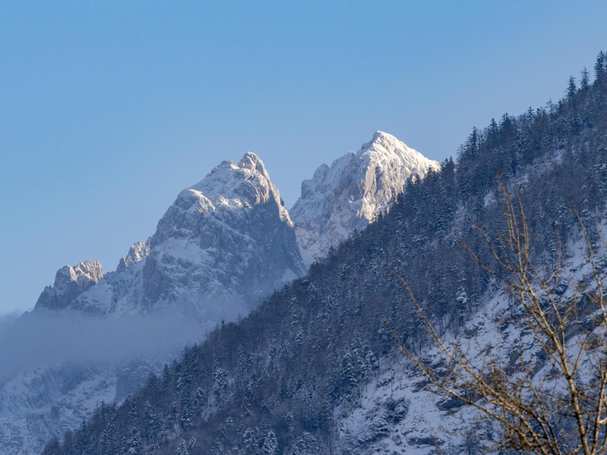 埃布斯镇Alpengasthof Veitenhof别墅 外观 照片